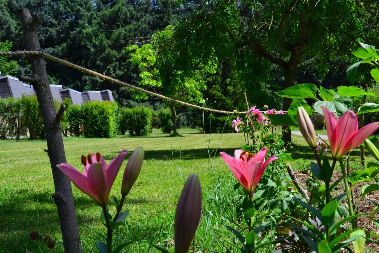 Les gîtes de Beille Les Cabannes  Extérieur photo