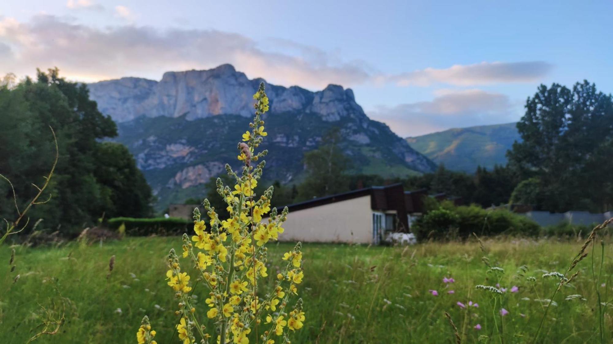 Les gîtes de Beille Les Cabannes  Extérieur photo